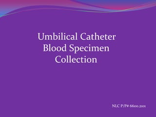 Umbilical Catheter
 Blood Specimen
    Collection



                 NLC P/P# 6600.2101
 