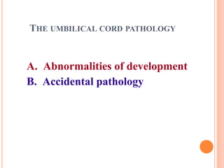 THE UMBILICAL CORD PATHOLOGY
A. Abnormalities of development
B. Accidental pathology
 