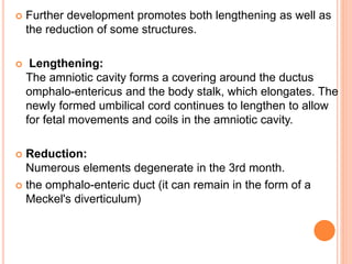  Further development promotes both lengthening as well as
the reduction of some structures.
 Lengthening:
The amniotic cavity forms a covering around the ductus
omphalo-entericus and the body stalk, which elongates. The
newly formed umbilical cord continues to lengthen to allow
for fetal movements and coils in the amniotic cavity.
 Reduction:
Numerous elements degenerate in the 3rd month.
 the omphalo-enteric duct (it can remain in the form of a
Meckel's diverticulum)
 