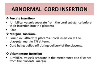  Furcate insertion-
• Umbilical vessels separate from the cord substance before
their insertion into the placenta
• Rare
 Margnial Inserion-
• Found in Battledore placenta : cord insertion at the
placental margin 7% at term.
• Cord being pulled off during delivery of the placenta.
 Velamentous Insertion –
• Umbilical vessels separate in the membranes at a distance
from the placental margin
ABNORMAL CORD INSERTION
 