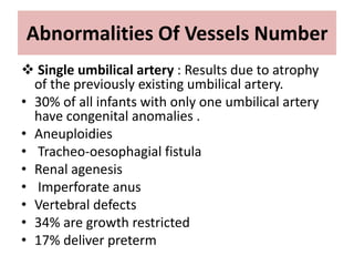 Abnormalities Of Vessels Number
 Single umbilical artery : Results due to atrophy
of the previously existing umbilical artery.
• 30% of all infants with only one umbilical artery
have congenital anomalies .
• Aneuploidies
• Tracheo-oesophagial fistula
• Renal agenesis
• Imperforate anus
• Vertebral defects
• 34% are growth restricted
• 17% deliver preterm
 