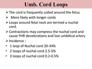 Umb. Cord Loops
The cord is frequently coiled around the fetus
 More likely with longer cords
Loops around fetal neck are termed a nuchal
cord.
Contractions may compress the nuchal cord and
cause FHR decelerations and low umbilical artery
Incidence :
• 1 loop of Nuchal cord 20-34%
• 2 loops of nuchal cord 2.5-5%
• 3 loops of nuchal cord 0.2-0.5%
 