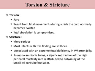 Torsion & Stricture
 Torsion :
 Rare
 Result from fetal movements during which the cord normally
becomes twisted
 fetal circulation is compromised.
 Stricture :
 More serious
 Most infants with this finding are stillborn
 Associated with an extreme focal deficiency in Wharton jelly.
 In mono amnionic twins, a significant fraction of the high
perinatal mortality rate is attributed to entwining of the
umbilical cords before labor.
 