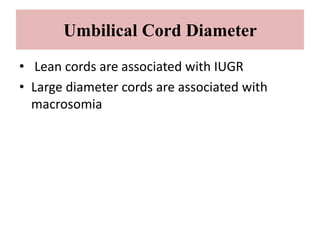 Umbilical Cord Diameter
• Lean cords are associated with IUGR
• Large diameter cords are associated with
macrosomia
 