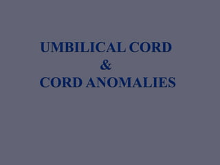 UMBILICAL CORD
&
CORD ANOMALIES
 