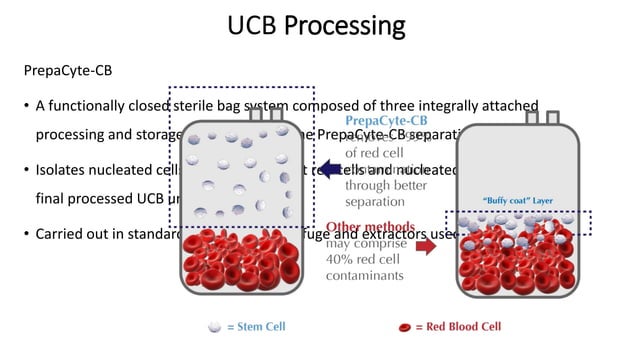 Umbilical cord blood banking (ucb) (1) qwe | PPTX