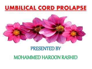 UMBILICAL CORD PROLAPSE
PRESENTED BY
MOHAMMED HAROON RASHID
 