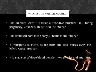 Umbilical Cord Prolapse, Presented By Mohammed Haroon Rashid