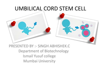 UMBILICAL CORD STEM CELL

PRESENTED BY :- SINGH ABHISHEK.C
Department of Biotechnology
Ismail Yusuf college
Mumbai University

 