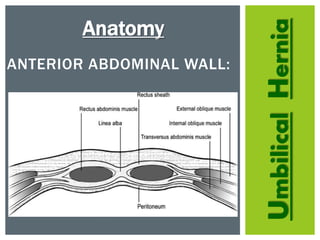 UmbilicalHernia
ANTERIOR ABDOMINAL WALL:
Anatomy
 
