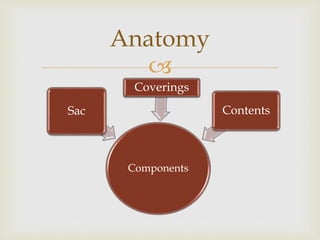 
Anatomy
Components
Sac
Coverings
Contents
 