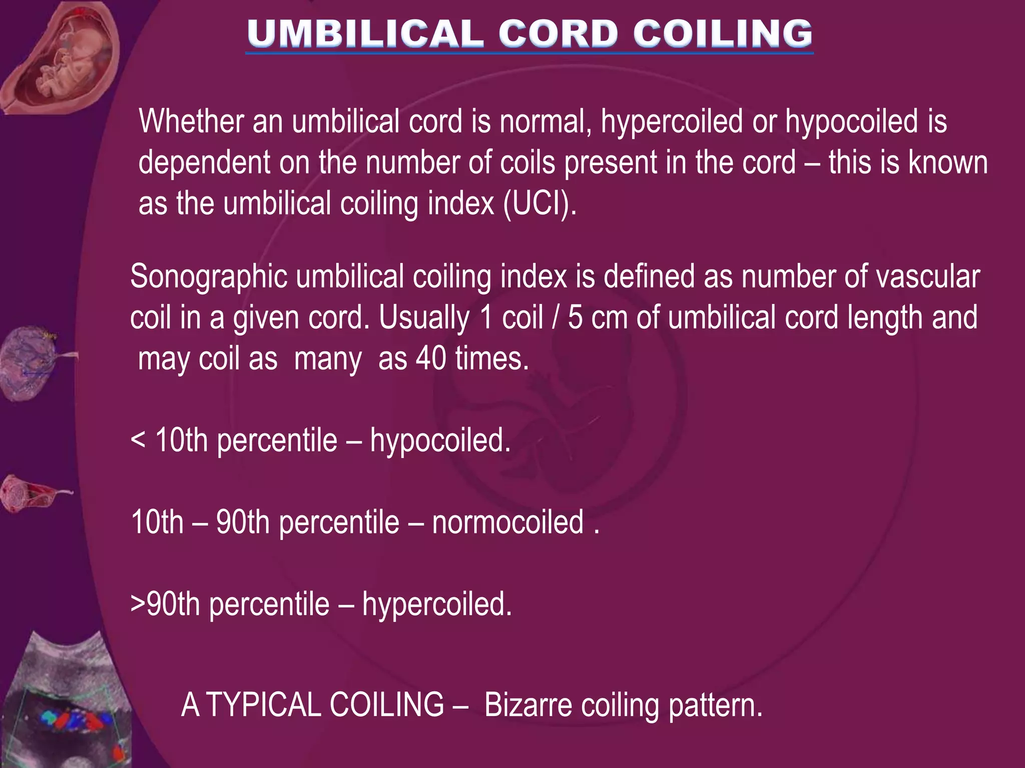 Umblical cord presentation | PPTX