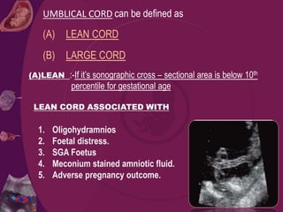 UMBLICAL CORD can be defined as
(A) LEAN CORD
(B) LARGE CORD
(A)LEAN :-If it’s sonographic cross – sectional area is below 10th
percentile for gestational age
LEAN CORD ASSOCIATED WITH
1. Oligohydramnios
2. Foetal distress.
3. SGA Foetus
4. Meconium stained amniotic fluid.
5. Adverse pregnancy outcome.
 