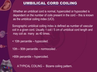 Sonographic umbilical coiling index is defined as number of vascular
coil in a given cord. Usually 1 coil / 5 cm of umbilical cord length and
may coil as many as 40 times.
< 10th percentile – hypocoiled.
10th – 90th percentile – normocoiled .
>90th percentile – hypercoiled.
Whether an umbilical cord is normal, hypercoiled or hypocoiled is
dependent on the number of coils present in the cord – this is known
as the umbilical coiling index (UCI).
A TYPICAL COILING – Bizarre coiling pattern.
 