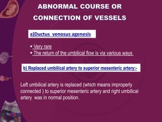 a)Ductus venosus agenesis
 Very rare
 The return of the umbilical flow is via various ways
b) Replaced umbilical artery to superior mesenteric artery:-
Left umbilical artery is replaced (which means improperly
connected ) to superior mesenteric artery and right umbilical
artery was in normal position.
 