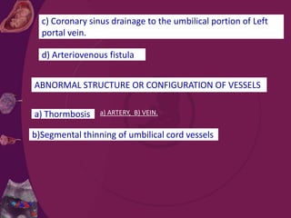 c) Coronary sinus drainage to the umbilical portion of Left
portal vein.
d) Arteriovenous fistula
ABNORMAL STRUCTURE OR CONFIGURATION OF VESSELS
b)Segmental thinning of umbilical cord vessels
a) Thormbosis a) ARTERY, B) VEIN.
 