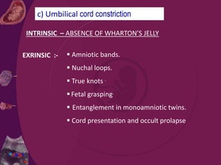 c) Umbilical cord constriction
INTRINSIC – ABSENCE OF WHARTON’S JELLY
EXRINSIC :-  Amniotic bands.
 Nuchal loops.
 True knots .
 Fetal grasping.
 Entanglement in monoamniotic twins.
 Cord presentation and occult prolapse
 