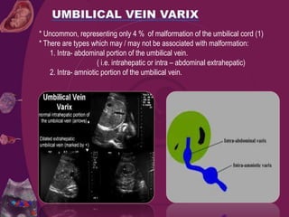 * Uncommon, representing only 4 % of malformation of the umbilical cord (1)
* There are types which may / may not be associated with malformation:
1. Intra- abdominal portion of the umbilical vein.
( i.e. intrahepatic or intra – abdominal extrahepatic)
2. Intra- amniotic portion of the umbilical vein.
 