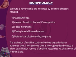 Structure is very dynamic and Influenced by a number of factors
including –
1) Gestational age.
2) Amount of amniotic fluid and it’s composition.
3) Foetal movements.
4) Foeto placental haemodynamics.
5) Maternal complication during pregnancy
The evaluation of umbilical cord can be done long axis view or
transverse view, Cross sectional view is more appropriate because it
allows quantification not only of umbilical vessel size but also amount of
Wharton’s jelly.
 