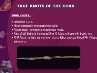 TRUE KNOTS :-
 Incidence 1-2 %
 More common in monoamniotic twins.
 Active foetal movements create true knots.
 Risk of still births is increased 5 to 10 folds in those with true knots.
 FHR Abnormalities are common during labor but cord blood PH Values
are normal.
 