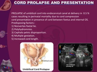 PROLAPSE of umbilical cord into endocervical canal at delivery in 0.5 %
cases resulting in perinatal mortality due to cord compression
cord presentation in presence of cord between foetus and internal OS.
Predisposing factors:-
1) Nonvertex foetal lie.
2) Polyhydromnios.
3) Cephalo pelvic disproportion.
4) Multiple gestation.
5) Increased cord length.
 