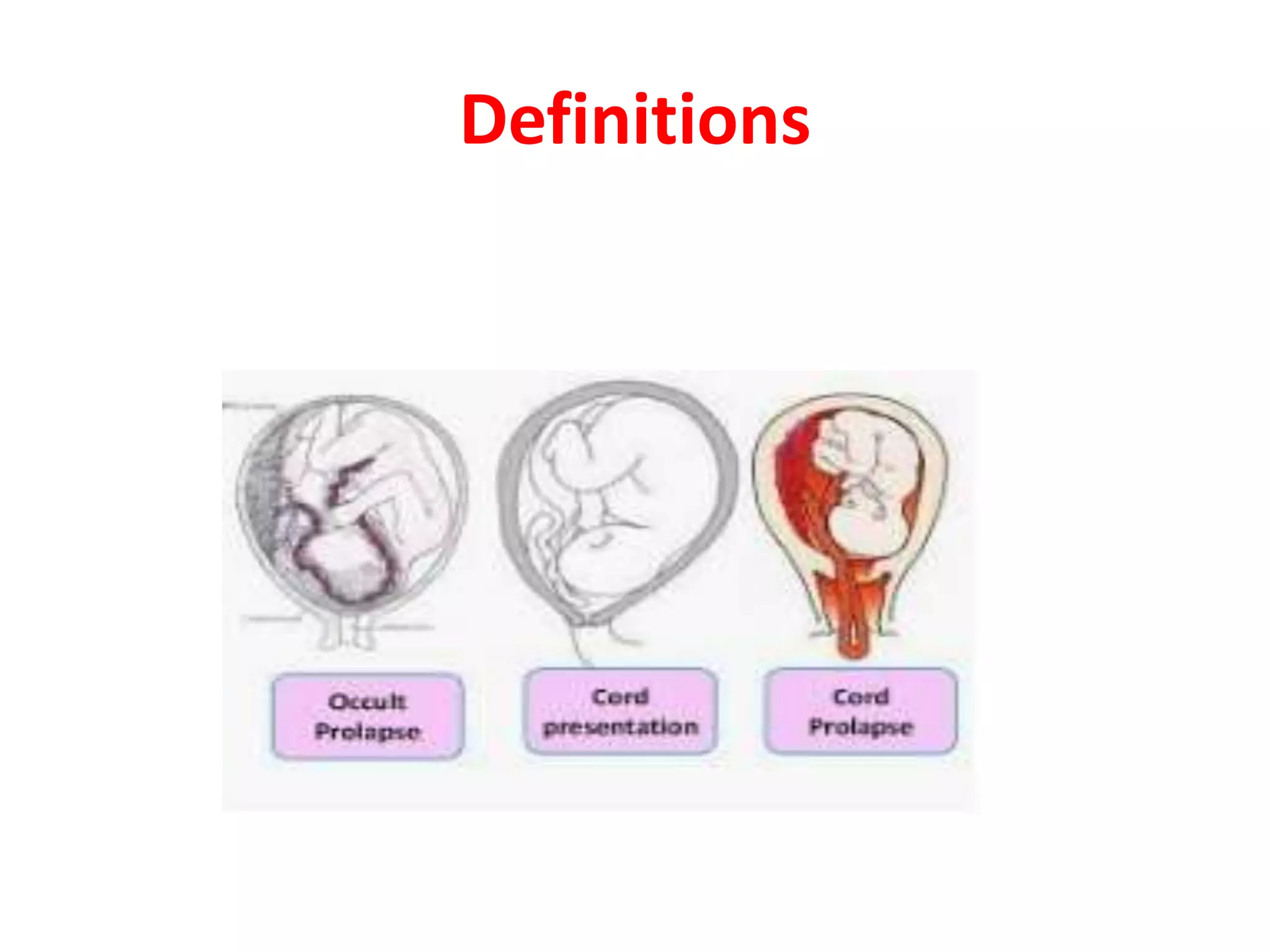 Picture of PubMed Central (PMC)