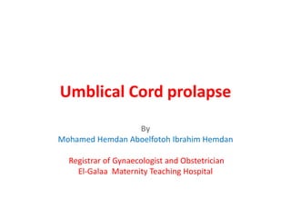 Umblical Cord prolapse
By
Mohamed Hemdan Aboelfotoh Ibrahim Hemdan
Registrar of Gynaecologist and Obstetrician
El-Galaa Maternity Teaching Hospital
 