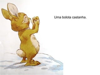 Uma bolota castanha.
 