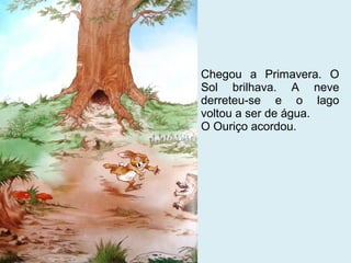 Chegou a Primavera. O
Sol brilhava. A neve
derreteu-se e o lago
voltou a ser de água.
O Ouriço acordou.
 