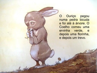 O Ouriço pegou
numa pedra bicuda
e foi até à árvore. O
Coelho comeu uma
ervinha verde, e
depois uma florinha,
e depois um trevo.
 