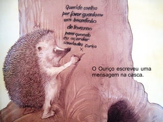 O Ouriço escreveu uma
mensagem na casca.
 