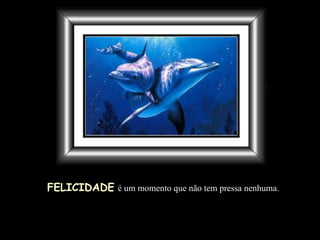 FELICIDADE   é um momento que não tem pressa nenhuma. 