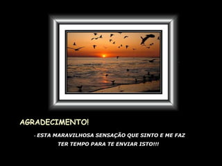 AGRADECIMENTO! -  ESTA MARAVILHOSA SENSAÇÃO QUE SINTO E ME FAZ TER TEMPO PARA TE ENVIAR ISTO!!! 