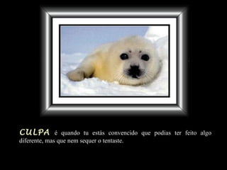 CULPA   é quando tu estás convencido que podias ter feito algo   diferente, mas que nem sequer o tentaste. 