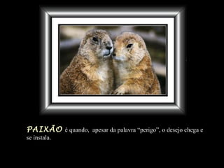 PAIXÃO   é quando,  apesar da palavra “perigo”, o desejo chega e se instala. 