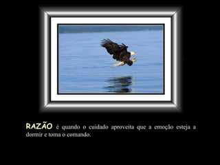 RAZÃO   é quando o cuidado  aproveita que a emoção  esteja a dormir e toma o comando. 