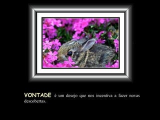 VONTADE   é um desejo que nos incentiva a fazer novas descobertas . 