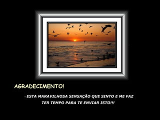 AGRADECIMENTO! -  ESTA MARAVILHOSA SENSAÇÃO QUE SINTO E ME FAZ TER TEMPO PARA TE ENVIAR ISTO!!! 