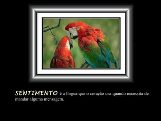 SENTIMENTO é a língua que o coração usa quando necessita de
mandar alguma mensagem.
 
