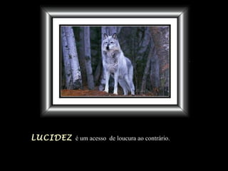 LUCIDEZ é um acesso de loucura ao contrário.
 