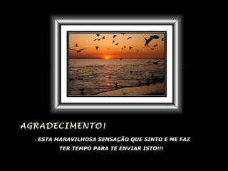 AGRADECIMENTO!
  - ESTA MARAVILHOSA SENSAÇÃO QUE SINTO E ME FAZ
         TER TEMPO PARA TE ENVIAR ISTO!!!
 