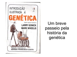 Um breve passeio pela história da genética 