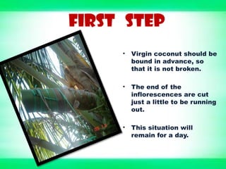 FIRST STEP
• Virgin coconut should be
bound in advance, so
that it is not broken.
• The end of the
inflorescences are cut
just a little to be running
out.
• This situation will
remain for a day.
 