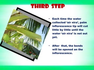 THIRD STEP
• Each time the water
collected ‘air nira’, palm
inflorescence tip will cut
little by little until the
water ‘air nira’ is not out
yet.
• After that, the bonds
will be opened an the
inflorescence.
 