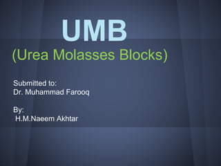 UMB 
(Urea Molasses Blocks) 
Submitted to: 
Dr. Muhammad Farooq 
By: 
H.M.Naeem Akhtar 
 