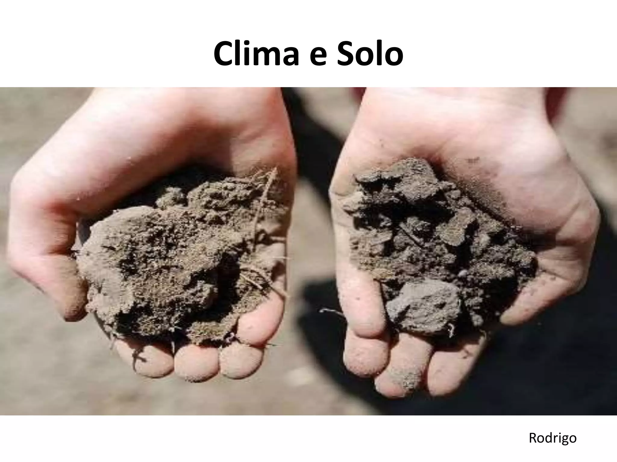 Clima e Solo
Rodrigo
 
