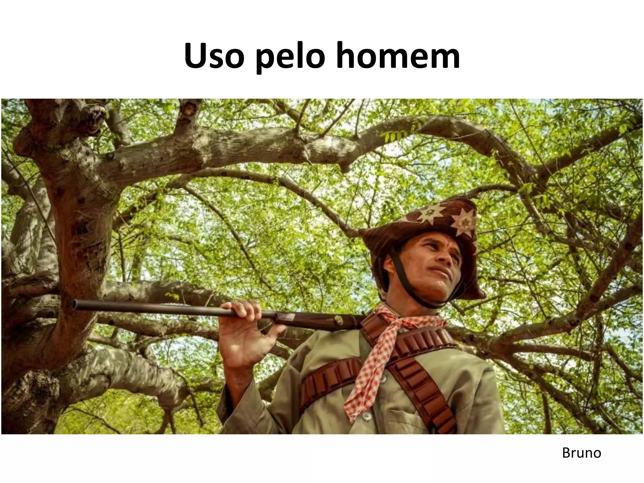 Uso pelo homem
Bruno
 