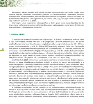12
3. O UMBUZEIRO
O umbuzeiro é uma espécie arbórea que pode atingir 7 m de altura (Cavalcanti e Resende 2006)
e copa com diâmetro variando entre 10 e 15 m (Braga 1960; Cavalcanti e Resende 2006). Ele ocorre
desde o Piauí até o norte de Minas Gerais e é adaptado a regiões com precipitações entre 400 e 800 mm
anuais, temperaturas entre 12 e 38 o
C e 2000 a 3000 horas de luz solar/ano. Conforme a classificação
dos centros de diversidade brasileiros proposta por Giacometti (1992), o centro de diversidade do
umbuzeiro é o centro Nordeste/Caatinga (Centro 6), que abrange parte dos estados do Piauí, Ceará, Rio
Grande do Norte, Paraíba, Pernambuco, Alagoas e a Chapada Diamantina na Bahia. Não existem relatos
de ocorrência em outras regiões do planeta, sendo, portanto, considerado uma espécie endêmica do
SAB (Prado e Gibbs 1993; Santos 1997; Giulietti et al. 2002; Silva-Luz e Pirani 2011).
Lins Neto et al. (2012) afirmam que o umbuzeiro encontra-se em estádio inicial de domesticação.
Mesmo em áreas utilizadas para atividades agrícolas e pastejo, as plantas são preservadas e a
diversidade genética e morfológica da espécie tem sido mantida nesses locais, como também em áreas
de vegetação nativa. Segundo Cavalcanti et al. (2009), o fluxo gênico é realizado por meio de sementes,
sendo que em áreas mais preservadas, principalmente por animais silvestres como cotias (Dasyprocta
cf. prymnolopha), caititus (Tayassu tajacu), veados (Mazama gouazoubira) e tatus-pebas (Euphractus
sexcinctus), dentre outros, enquanto na caatinga degradada, por caprinos e ovinos. É comum encontrar
sementes de umbu em currais e outros locais que estes animais frequentam, porém, na maioria dos
casos, estas sementes não retornam ao campo e praticamente não são encontradas plantas jovens
de umbuzeiro na natureza. Outros fatores como o ataque de insetos às sementes presentes no solo, a
alta palatabilidade das brotações jovens e a maior susceptibilidade dessas plantas à estiagem também
contribuem para a não renovação dos umbuzeiros na caatinga.
A produção do umbuzeiro no SAB concentra-se no período chuvoso, principalmente entre os
meses de março e junho, variando com o local e sua respectiva distribuição de chuvas. Do início da
frutificação até a maturação dos frutos, são cerca de 125 dias. Os frutos são do tipo drupa, variando
entre arredondados, ovoides e oblongos (Neves e Carvalho 2005), podendo ou não ter pelos, e o
endocarpo, também conhecido como caroço, envolve a semente. A superfície dos frutos pode ser lisa
Além dessas, são encontrados no Brasil dois possíveis híbridos naturais entre umbu e cajá e entre
umbu e seriguela, umbu-cajá e umbuguela (Spondias sp.), respectivamente. Exceto pelos fenótipos
intermediários, não existem dados na literatura que corroborem esta hipótese. Inclusive resultados de
bandeamento CMA/DAPI e FISH sugerem que, no caso do umbu-cajá, essa seja uma nova espécie, e
não um híbrido (Almeida et al. 2007).
Informações sobre cruzamentos interespecíficos e dados gerais sobre outras Spondias são de
interesse ao melhoramento, pois, em última análise, essas espécies podem conter genes de interesse
que poderão ser introduzidos no umbuzeiro.
 