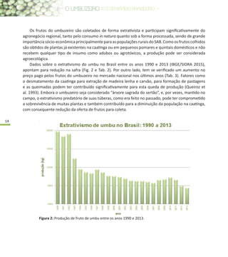 14
Figura 2: Produção de fruto de umbu entre os anos 1990 e 2013.
Os frutos do umbuzeiro são coletados de forma extrativista e participam significativamente do
agronegócio regional, tanto pelo consumo in natura quanto sob a forma processada, sendo de grande
importânciasócio-econômicaprincipalmenteparaaspopulaçõesruraisdoSAB.Comoosfrutoscolhidos
são obtidos de plantas já existentes na caatinga ou em pequenos pomares e quintais domésticos e não
recebem qualquer tipo de insumo como adubos ou agrotóxicos, a produção pode ser considerada
agroecológica.
Dados sobre o extrativismo do umbu no Brasil entre os anos 1990 e 2013 (IBGE/SIDRA 2015),
apontam para redução na safra (Fig. 2 e Tab. 2). Por outro lado, tem se verificado um aumento no
preço pago pelos frutos do umbuzeiro no mercado nacional nos últimos anos (Tab. 3). Fatores como
o desmatamento da caatinga para extração de madeira lenha e carvão, para formação de pastagens
e as queimadas podem ter contribuído significativamente para esta queda de produção (Queiroz et
al. 1993). Embora o umbuzeiro seja considerado “árvore sagrada do sertão”, e, por vezes, mantido no
campo, o extrativismo predatório de suas túberas, como era feito no passado, pode ter comprometido
a sobrevivência de muitas plantas e também contribuído para a diminuição da população na caatinga,
com consequente redução da oferta de frutos para coleta.
 