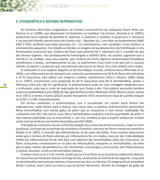 20
5. CITOGENÉTICA E SISTEMA REPRODUTIVO
As primeiras descrições citogenéticas do número cromossômico do umbuzeiro foram feitas por
Pedrosa et al. (1999), que observaram 16 bivalentes na metáfase I da meiose. Almeida et al. (2007),
analisando cinco espécies de Spondias (S. tuberosa, S. cytherea, S. mombin, S. purpurea e S. venulosa)
e um possível híbrido natural entre elas (umbu-cajá – Spondias sp.), com base no bandeamento CMA/
DAPI e FISH, verificam que todas possuíam 2n = 32 cromossomos, com cariótipos muito similares e
cromossomos pequenos. Em relação ao híbrido, as imagens do bandeamento e da hibridização in situ
fluorescente mostraram que, embora ele fosse mais próximo de S. tuberosa e de S. mombin do que
das demais espécies, era cariotipicamente homozigoto e distinto delas. Os autores sugeriram que o
híbrido é, na verdade, uma nova espécie, pois embora ele tenha algumas características fenotípicas
semelhantes a ambos, cariotipicamente os pais se assemelham mais entre si do que com o suposto
híbrido. A espécie S. purpurea, que naturalmente não ocorre no Brasil, foi a mais distinta entre todas.
O umbuzeiro é uma espécie alógama ou de fecundação cruzada, andromonóica (Machado et al.
2006), com inflorescências do tipo panícula, contendo aproximadamente 50 % de flores hermafroditas
e 50 % masculinas, esta última com estigma e estilete rudimentares (Pires e Oliveira 1986). Nadia
et al. (2007), encontraram uma proporção de 60 % masculinas para 40 % hermafroditas, porém a
diferença entre elas não foi significativa. A andromonoicia pode ser uma vantagem adaptativa para
o umbuzeiro, visto que o custo de maturação de seus frutos é alto. Esta espécie apresenta também
autoincompatibilidade (Leite 2006) do tipo gametofítica (Leite e Machado 2010). Mesmo assim, Santos
et al. (2011) e Santos e Gama (2013) usando marcadores AFLP, encontraram taxas de autofecundação
de 0,287 e 0,196, respectivamente.
Em termos evolutivos, a andromonoicia, que é considerada um caráter basal dentro das
angiospermas, pode evoluir para a dioicia, mas nesse caso, as plantas andromonóicas apresentam
flores hermafroditas com menos grãos de pólen que as masculinas e com menor viabilidade. No
umbuzeiro esse fato não ocorre (suas flores hermafroditas produzem mesma quantidade de pólen e
com mesma viabilidade que as masculinas), e, por isso, acredita-se que a espécie esteja num estádio
ainda mais basal dentro da família Anacardiaceae (Pell 2004).
A floração do umbuzeiro ocorre no final da estação seca, antes das primeiras chuvas, o que no Cariri
paraibano, corresponde ao período de novembro a fevereiro, com pico de florescimento em dezembro
(Nadia et al. 2007). A emissão das inflorescências se dá antes das folhas. Esses autores observaram
ainda que o número de flores abertas por inflorescência foi, em média, nove por dia. A durabilidade
média das inflorescências foi de sete dias, com abertura das hermafroditas antes das masculinas. As
flores masculinas concentraram-se na base da inflorescência, enquanto as hermafroditas, do meio
para o ápice. Ambas são pentâmeras, com 10 estames, cinco longos e cinco curtos, com filetes brancos
e anteras amarelas, sendo as hermafroditas maiores.
A antese inicia-se às 5 h da manhã, sendo que às 6 h as flores já se encontram totalmente abertas.
As masculinas permanecem abertas ao longo do dia, senescendo na manhã do dia seguinte, enquanto
as hermafroditas permanecem abertas e funcionais por dois ou três dias. Os estigmas ficam receptivos
desde a antese, assim como as anteras que se tornam deiscentes. Através da contagem de grãos de
 